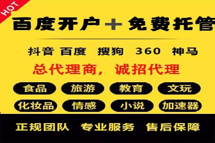 SEM代运营托管公司成功案例分析